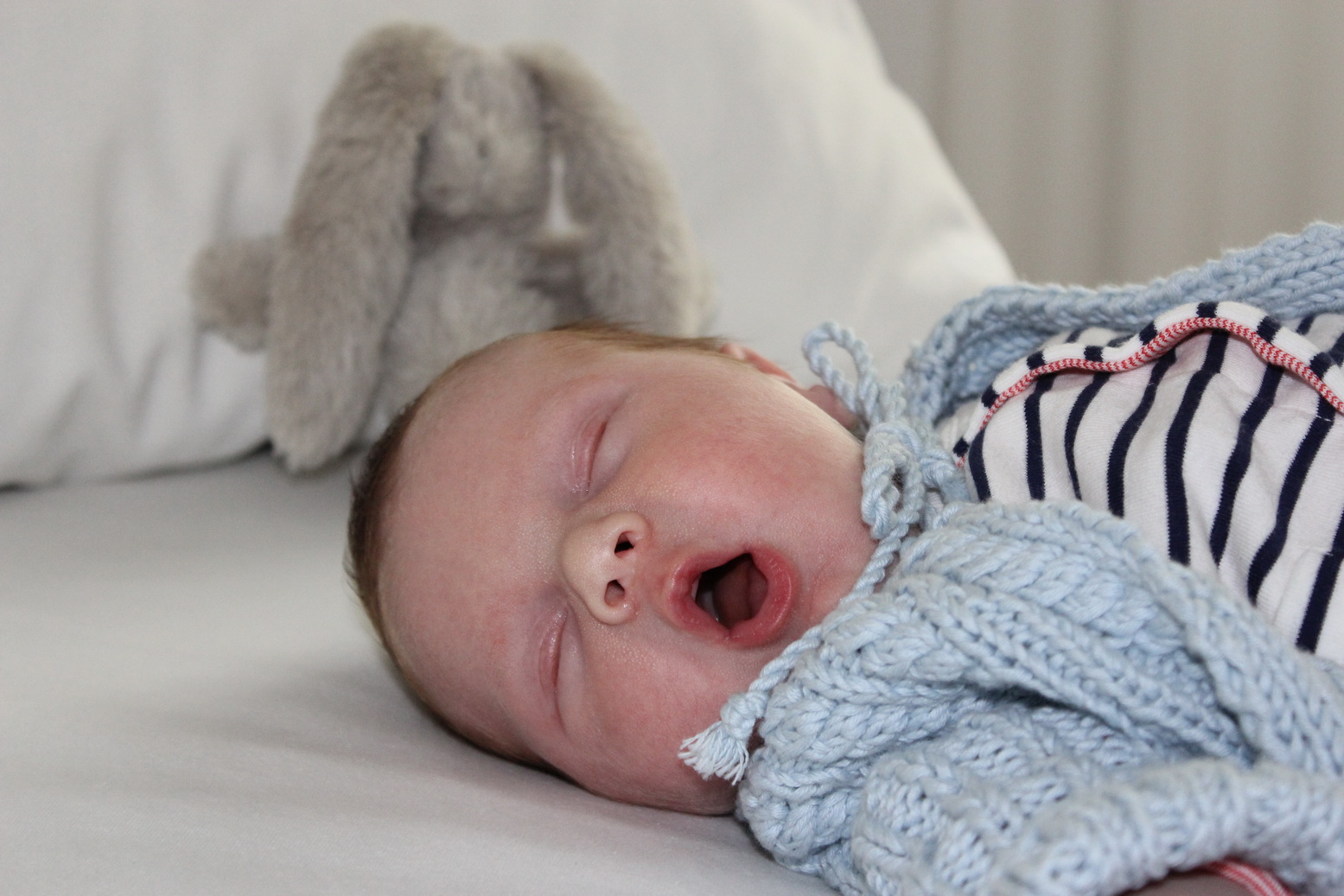 Familie von Hanstein